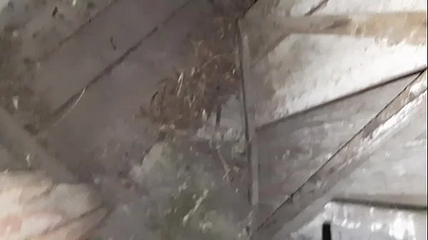 I caught my neighbor masturbating in the toilet on the street and I joined her - Lesbian Illusion Girls